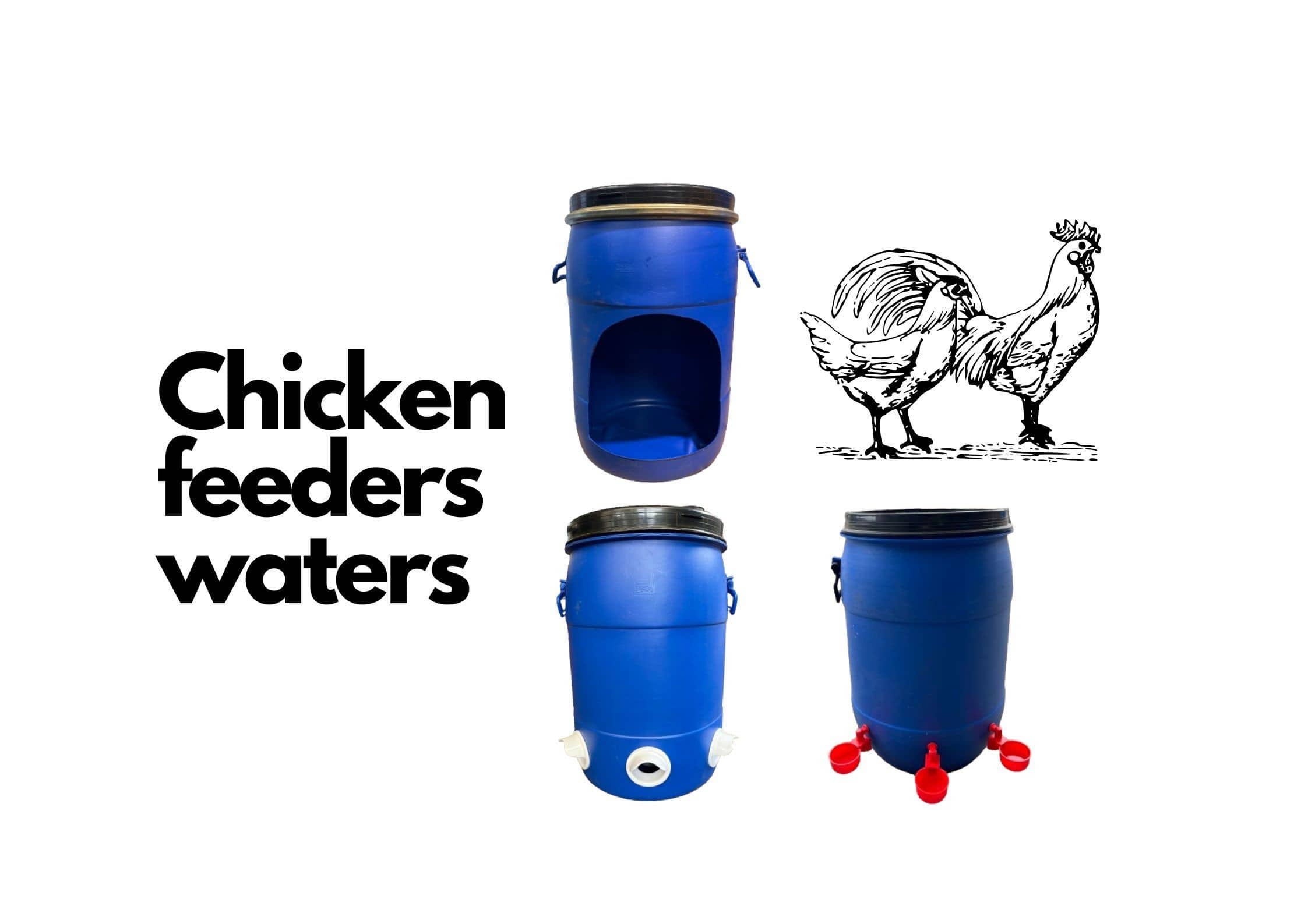 Chicken gravity feeders, water cups.