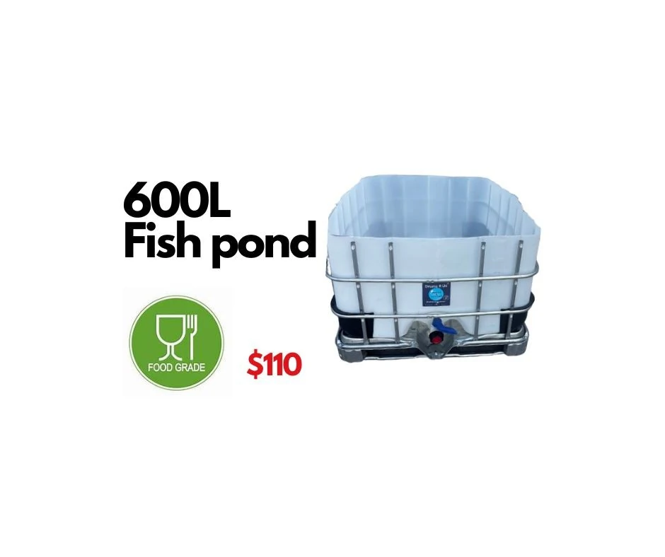 600L IBC open top fish pond. Food grade.  Suitable for fish pond, cattle water trough or raised garden bed.
